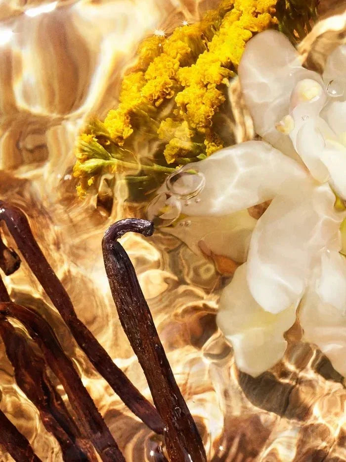 Aromas Dulces